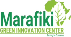 Marafiki Green Youth Initiative