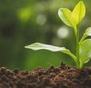 Headstart Eco Centre