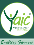YAIC Agribusiness Initiative